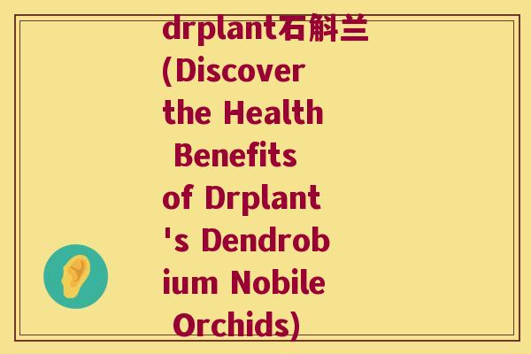 drplant石斛兰(Discover the Health Benefits of Drplant's Dendrobium Nobile Orchids)