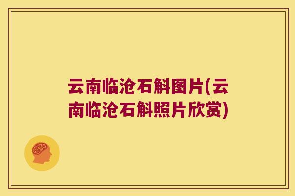 云南临沧石斛图片(云南临沧石斛照片欣赏)