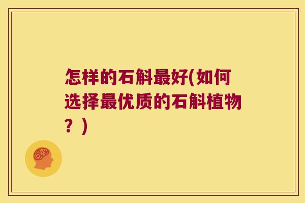 怎样的石斛好(如何选择优质的石斛植物？)