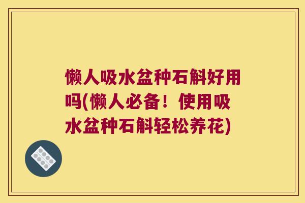 懒人吸水盆种石斛好用吗(懒人必备！使用吸水盆种石斛轻松养花)