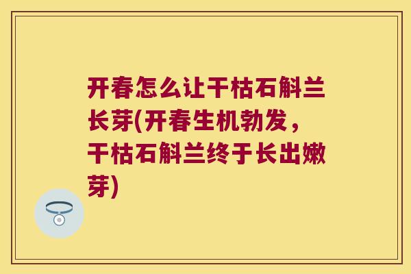 开春怎么让干枯石斛兰长芽(开春生机勃发，干枯石斛兰终于长出嫩芽)