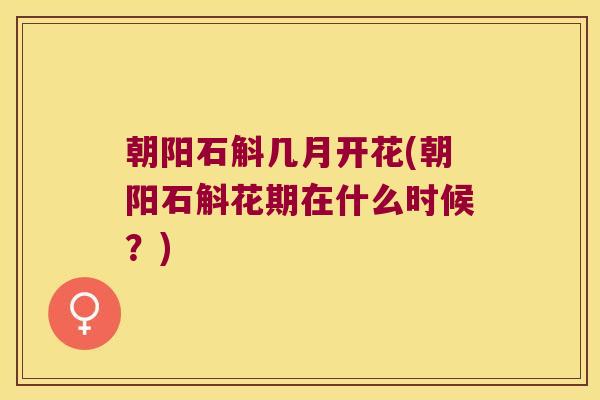 朝阳石斛几月开花(朝阳石斛花期在什么时候？)
