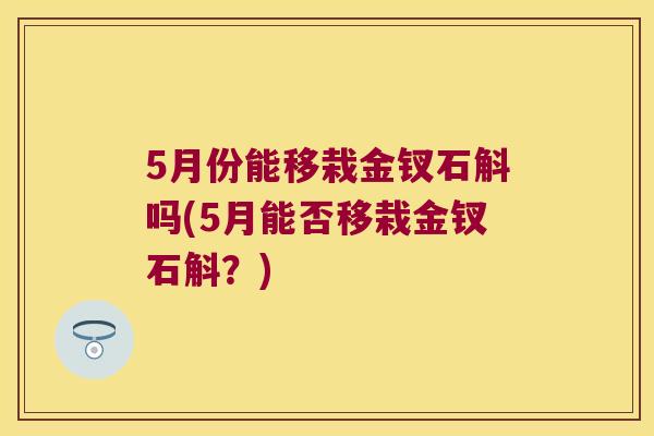 5月份能移栽金钗石斛吗(5月能否移栽金钗石斛？)