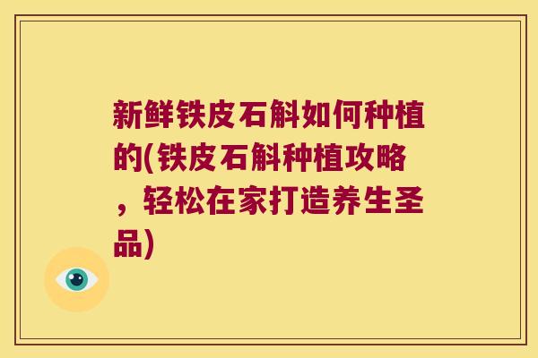 新鲜铁皮石斛如何种植的(铁皮石斛种植攻略,轻松在家打造养生圣品) 新鲜铁皮石斛如何种植的(铁皮石斛种植攻略,轻松在家打造养生圣品)