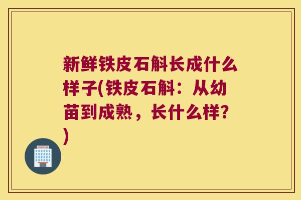 新鲜铁皮石斛长成什么样子(铁皮石斛：从幼苗到成熟，长什么样？)