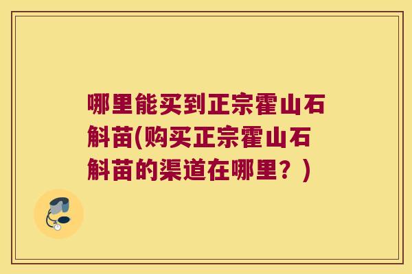 哪里能买到正宗霍山石斛苗(购买正宗霍山石斛苗的渠道在哪里？)