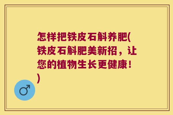 怎样把铁皮石斛养肥(铁皮石斛肥美新招,让您的植物生长更健康!) 怎样把铁皮石斛养肥(铁皮石斛肥美新招,让您的植物生长更健康!)