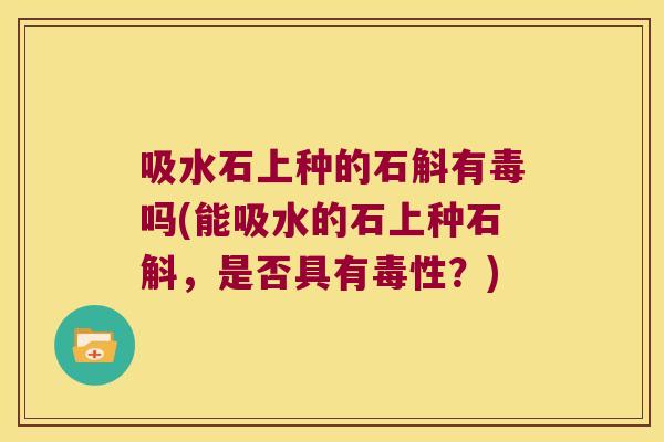 吸水石上种的石斛有毒吗(能吸水的石上种石斛,是否具有毒性?) 吸水石上种的石斛有毒吗(能吸水的石上种石斛,是否具有毒性?)