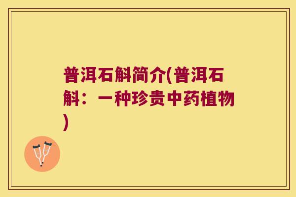 普洱石斛简介(普洱石斛：一种珍贵中药植物)