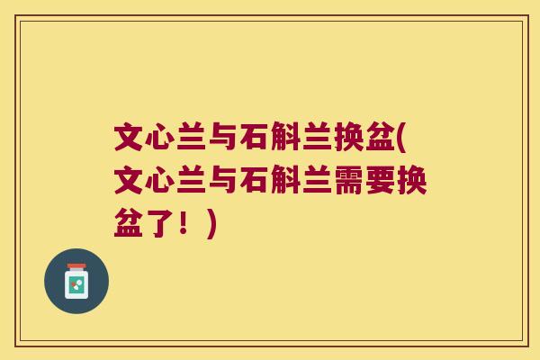 文心兰与石斛兰换盆(文心兰与石斛兰需要换盆了！)
