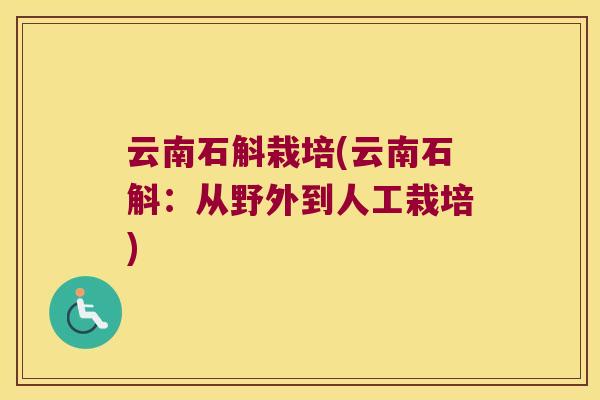 云南石斛栽培(云南石斛：从野外到人工栽培)