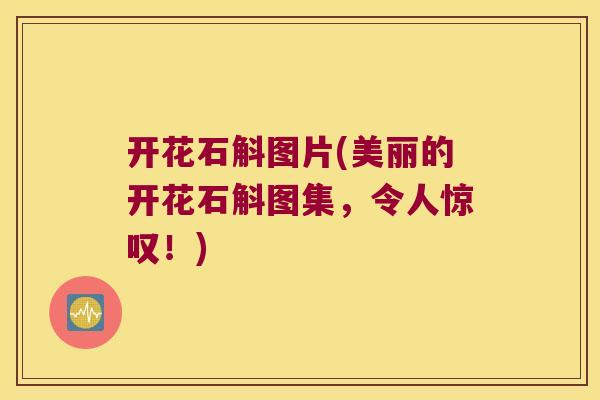 开花石斛图片(美丽的开花石斛图集，令人惊叹！)