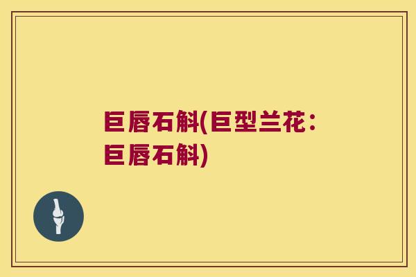 巨唇石斛(巨型兰花：巨唇石斛)
