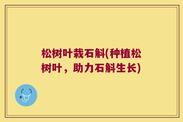 松树叶栽石斛(种植松树叶,助力石斛生长) 松树叶栽石斛(种植松树叶,助力石斛生长)