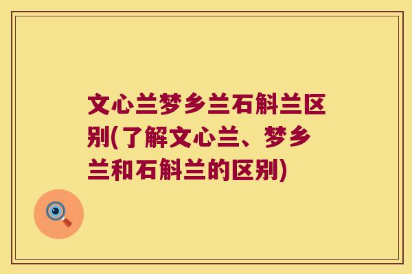 文心兰梦乡兰石斛兰区别(了解文心兰、梦乡兰和石斛兰的区别) 文心兰梦乡兰石斛兰区别(了解文心兰、梦乡兰和石斛兰的区别)