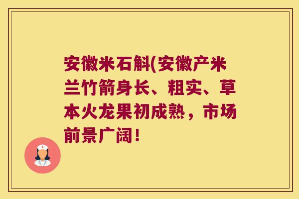 安徽米石斛(安徽产米兰竹箭身长、粗实、草本火龙果初成熟，市场前景广阔！