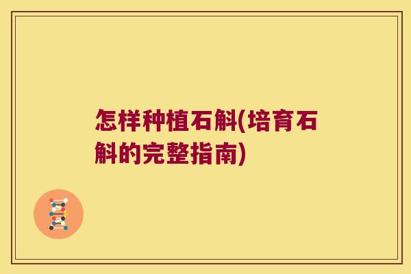 怎样种植石斛(培育石斛的完整指南)