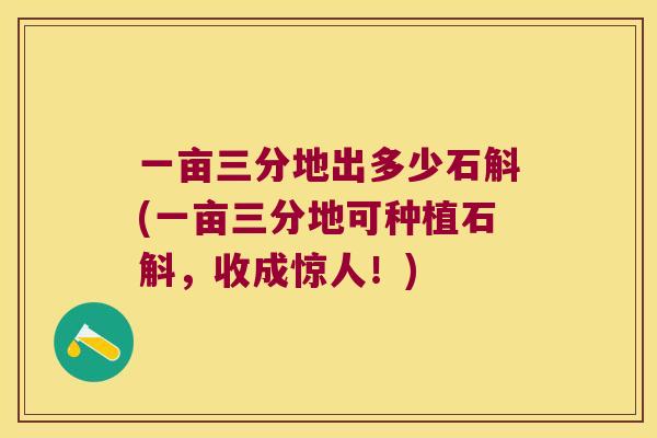 一亩三分地出多少石斛(一亩三分地可种植石斛，收成惊人！)