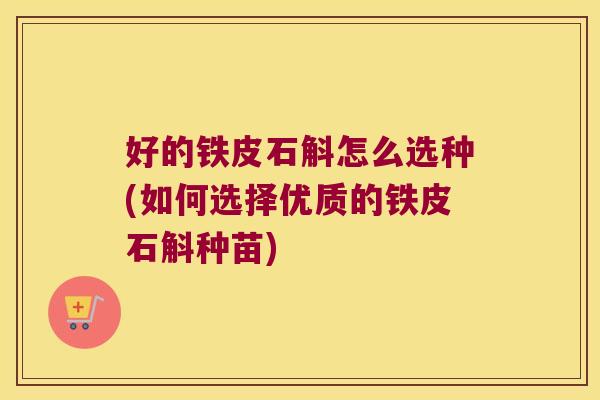 好的铁皮石斛怎么选种(如何选择优质的铁皮石斛种苗)