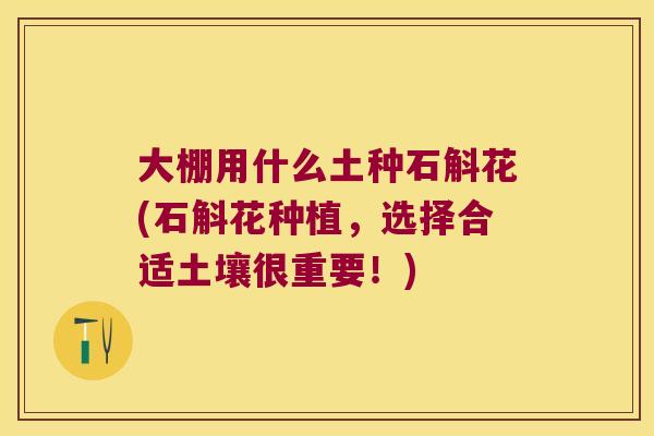 大棚用什么土种石斛花(石斛花种植，选择合适土壤很重要！)