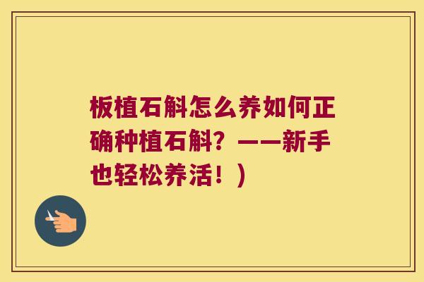 板植石斛怎么养如何正确种植石斛？——新手也轻松养活！)