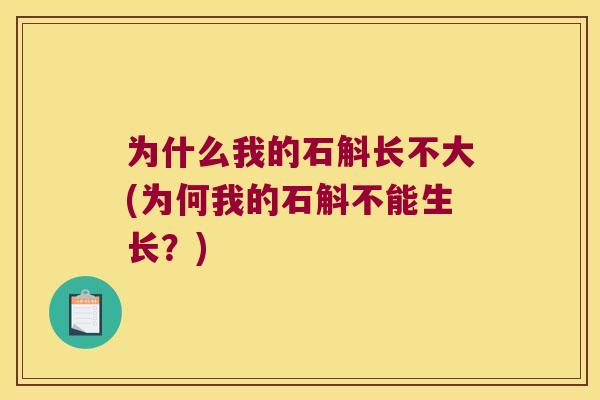 为什么我的石斛长不大(为何我的石斛不能生长？)