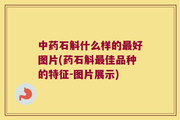 石斛什么样的好图片(药石斛佳品种的特征-图片展示) 石斛什么样的好图片(药石斛佳品种的特征-图片展示)