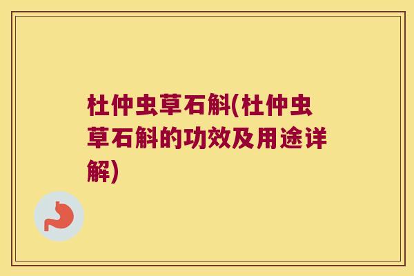 杜仲虫草石斛(杜仲虫草石斛的功效及用途详解)
