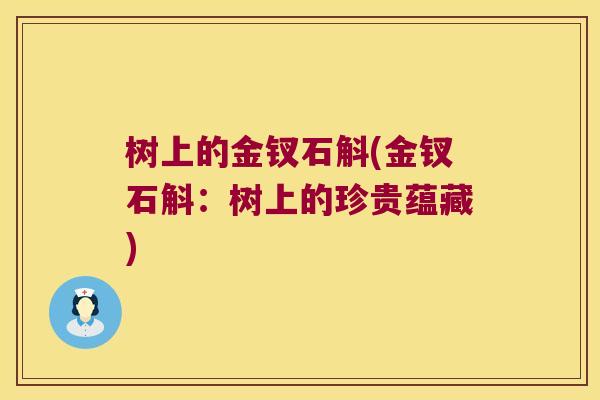 树上的金钗石斛(金钗石斛：树上的珍贵蕴藏)
