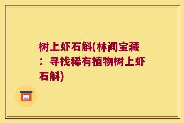 树上虾石斛(林间宝藏：寻找稀有植物树上虾石斛)