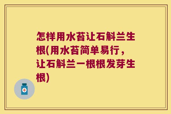 怎样用水苔让石斛兰生根(用水苔简单易行，让石斛兰一根根发芽生根)