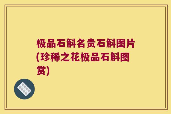 极品石斛名贵石斛图片(珍稀之花极品石斛图赏)