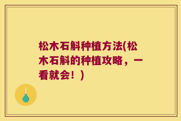 松木石斛种植方法(松木石斛的种植攻略,一看就会!) 松木石斛种植方法(松木石斛的种植攻略,一看就会!)