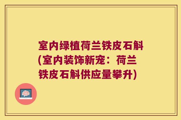室内绿植荷兰铁皮石斛(室内装饰新宠：荷兰铁皮石斛供应量攀升)