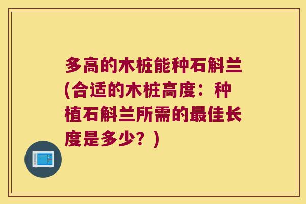 多高的木桩能种石斛兰(合适的木桩高度：种植石斛兰所需的最佳长度是多少？)