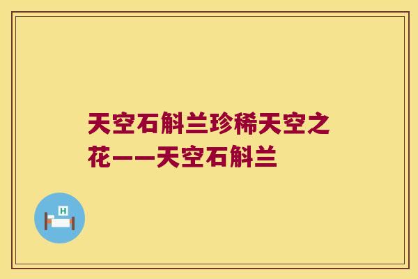 天空石斛兰珍稀天空之花——天空石斛兰