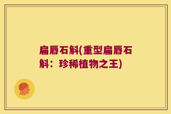 扁唇石斛(重型扁唇石斛：珍稀植物之王)