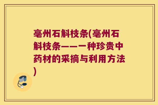 亳州石斛枝条(亳州石斛枝条——一种珍贵中药材的采摘与利用方法)