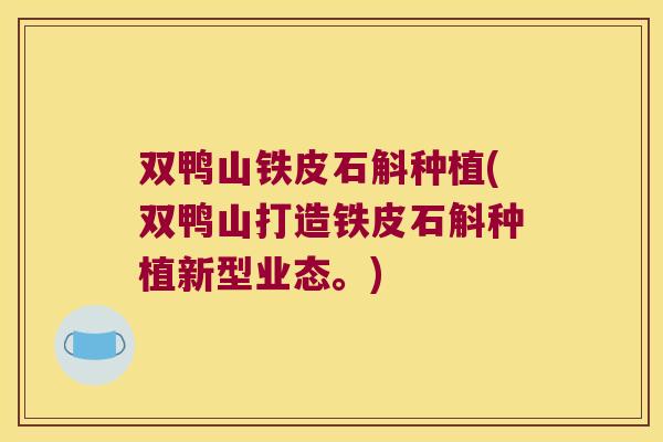 双鸭山铁皮石斛种植(双鸭山打造铁皮石斛种植新型业态。)