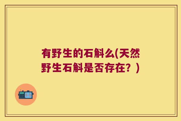 有野生的石斛么(天然野生石斛是否存在？)