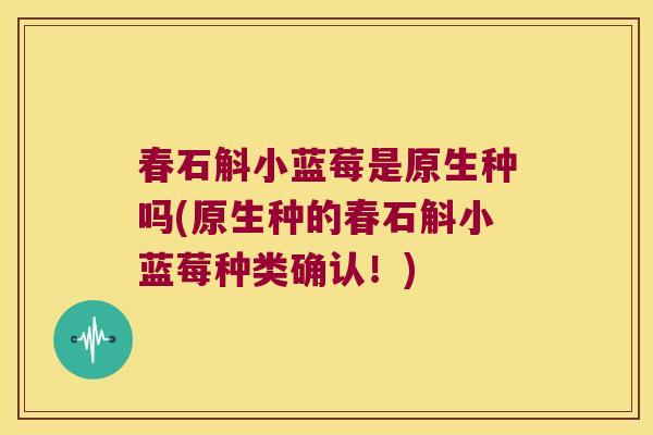 春石斛小蓝莓是原生种吗(原生种的春石斛小蓝莓种类确认!) 春石斛小蓝莓是原生种吗(原生种的春石斛小蓝莓种类确认!)