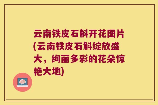云南铁皮石斛开花图片(云南铁皮石斛绽放盛大，绚丽多彩的花朵惊艳大地)