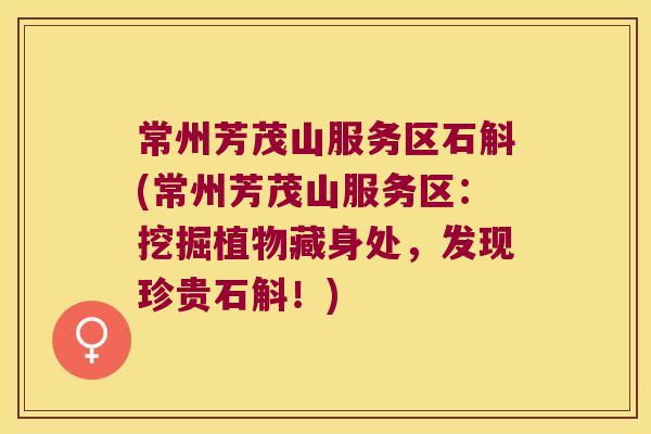 常州芳茂山服务区石斛(常州芳茂山服务区：挖掘植物藏身处，发现珍贵石斛！)