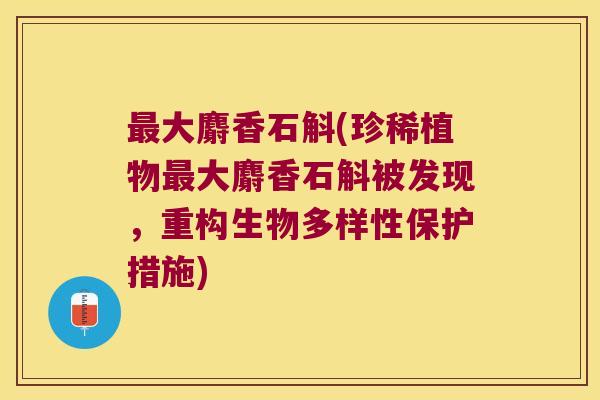 大麝香石斛(珍稀植物大麝香石斛被发现,重构生物多样性保护措施) 大麝香石斛(珍稀植物大麝香石斛被发现,重构生物多样性保护措施)