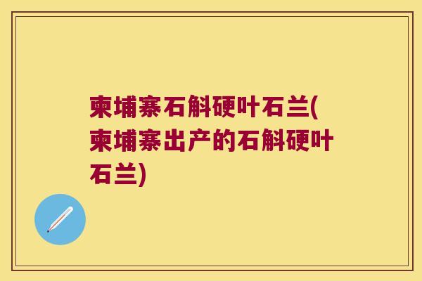 柬埔寨石斛硬叶石兰(柬埔寨出产的石斛硬叶石兰)