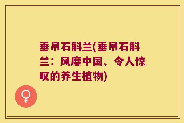 垂吊石斛兰(垂吊石斛兰：风靡中国、令人惊叹的养生植物)