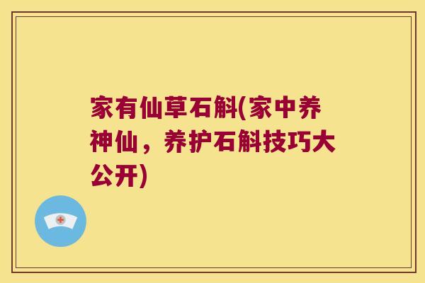 家有仙草石斛(家中养神仙，养护石斛技巧大公开)