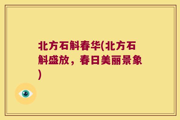 北方石斛春华(北方石斛盛放，春日美丽景象)