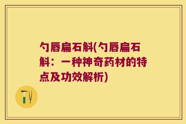 勺唇扁石斛(勺唇扁石斛：一种神奇药材的特点及功效解析)