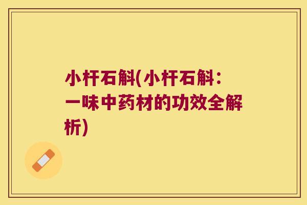 小杆石斛(小杆石斛：一味中药材的功效全解析)